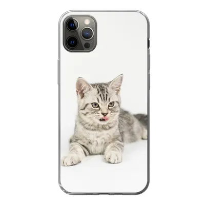 Produktbild von MuchoWow® Handyhülle Schutzhülle Hülle für iPhone 13 Pro Max Kitten - Weiß - Sohle - Mädchen - Kinder - Jungen - Kind Silikon Softcase Handy Hülle - Mobiltelefon