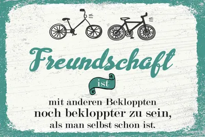 Produktbild von vianmo Holzschild 20x30 cm Freundschaft noch bekloppter sein