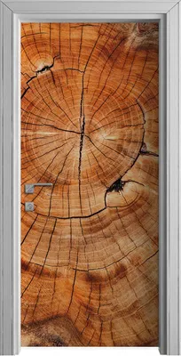 Produktbild von Tür Selbstklebende 90x210 cm Türfolie Türtapete Klebefolie - Holz Stamm
