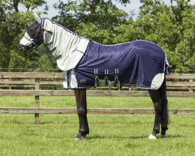 Produktbild von QHP Fliegendecke mit Halsteil und Fliegenmaske Blau 145 cm