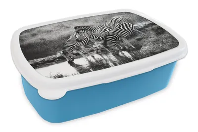 Obrázok produktu pre MuchoWow® Obedník Brotzeit Box na obed 11x17x6cm Pitie zebier Detský obedový box