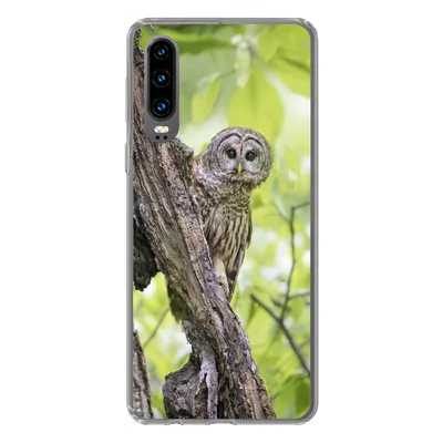 Produktbild von MuchoWow® Handyhülle Schutzhülle Hülle für Huawei P30 Eule - Wald - Licht Silikon Softcase Handy Hülle - Kartenbesitzer