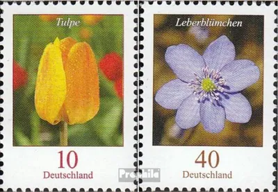 Produktbild von Briefmarken BRD 2005 Mi 2484A R-2485A R mit Zählnummer (kompl.Ausg.) postfrisch Blumen