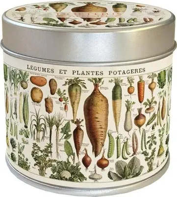 Produktbild von Duftkerze 281, Gemüseduft, Orangenduft