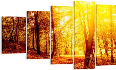 Produktbild von Bild auf Leinwand - Leinwandbild - Wald Baum Natur - 100x60cm - Wand Bild - Wanddeko - Wandbilder - Leinwanddruck - Bilder - Kunstdruck - Wanddekoration - Leinwand bilder - Wandkunst - EG100x60-3722