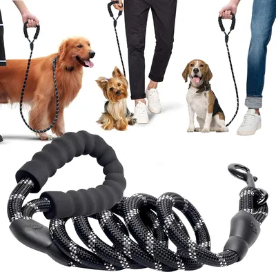 Produktbild von Hundeleine 3 m für große und mittelgroße Hunde - Robuste Trainingsleine mit bequemem Griff