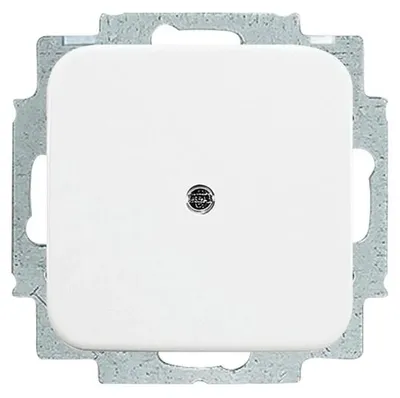 Produktbild von Busch-Jaeger Blindzentralscheibe, 2538-214, 1-fach, mit Tragring und Spreizbefestigung, alpinweiß, 1 Stk.