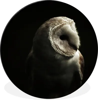 Produktbild von MuchoWow® Aluminium Wandkreis Eule - Vogel - Porträt Ø 90 cm Wanddeko Modern Wohnzimmer - Mauerkreis - Wandbilder - Runde Bild - Bild aus Aluminium - Schlafzimmer - Wohnzimmerdekoration - Wand Dekoration
