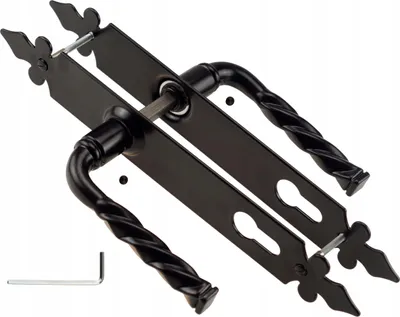 Produktbild von Türgriff Türbeschlag Haustürgriff FEINZ Lilia - 90 mm - Schwarz - Hochwertig - Elegant - Robuste Verarbeitung