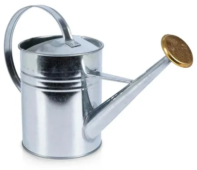 Zdjęcie produktu dla Metalowa konewka - konewka - 1,9 l - metal