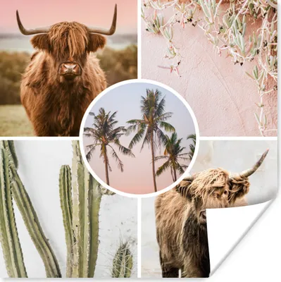 Produktbild von MuchoWow® Poster Schottische Highlander - Collage - Pflanzen 50x50 cm - Wohnzimmerdekoration