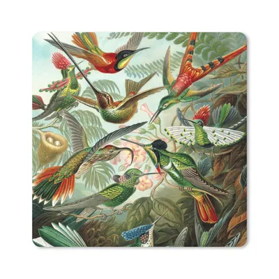 Produktbild von MuchoWow® Mauspad Mousepad Trochilidae - Ernst Haeckel - Vogel 20x20 cm - Mousepads - Maus Mat - Pad - Mausunterlage - Desk Mat - Bureauartikeln