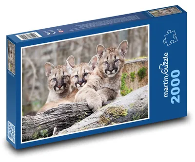 Zdjęcie produktu dla martinpuzzle - Puzzle 2000 - Puma