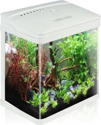 Produktbild von Nobleza - Nano-Fischtank-Aquarium mit LED-Leuchten & Filtersystem, tropischeAquarien, 7 Liter, Weiß