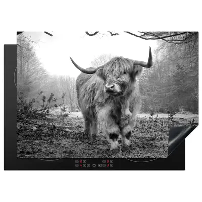 Produktbild von KitchenYeah© Herdabdeckplatte Schottische Highlander - Natur - Herbst - Tiere - Wildtiere - Wald , 75x52cm, Küche Deko, Glaskeramikkochfeld Herdabdeckung, Abdeckplatte fùr Kochfeld