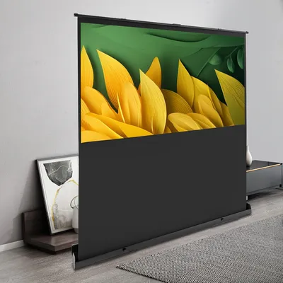 Image de Écran de projection - Écran pour vidéoprojecteur - Toile de projection - Écran rétractable - Écran portable - 203 cm (80 pouces)