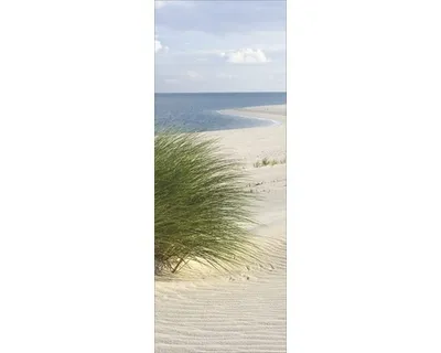 Produktbild von Glasbild Sand Sedge I 30x80 cm