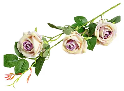 Produktbild von Künstlicher Rosenstrauß mit 3 vollblühenden Seidenrosen und Stiel, ideal zum Selbergestalten in der Vase, als Tischdekoration für Zuhause, Hochzeiten und Partys.