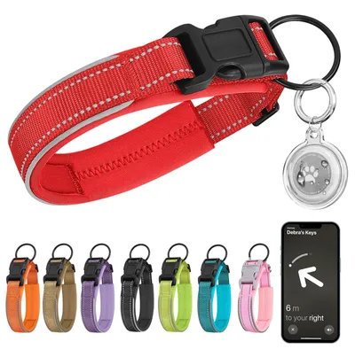 Productafbeelding van Hondenhalsband met AirTag Bescherming, Verstelbaar en Reflecterend, Nylon, Rood, XL