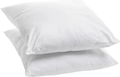 Image de Bleu Calin Lot de 2 Oreillers Ferme Coton Bio 60x60cm