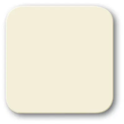 Immagine prodotto di Busch-Jaeger Bilanciere chiuso, per inserto interruttore 2CKA001731A1395 2506 O-212