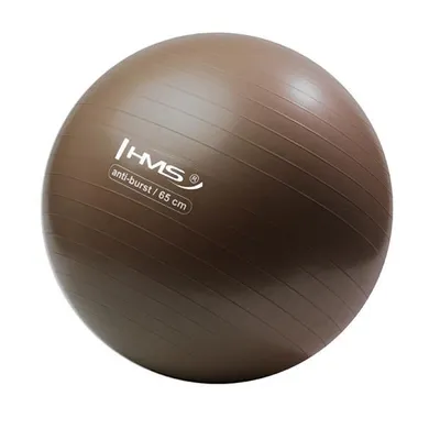 Immagine prodotto di Palla da ginnastica HMS YB02N 65 cm bronzo