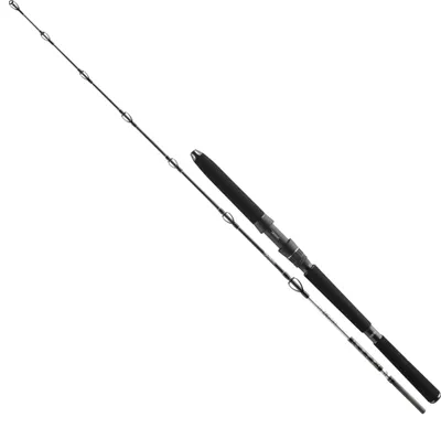 Obrázek produktu pro Daiwa Sea Rod BG Hlubokomořský prut
