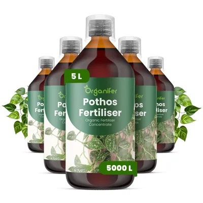 Produktbild von Pothos Flüssigdünger 5x1L – 2-1-8 NPK – Flüssig-Pflanzendünger für Pothos – Organifer