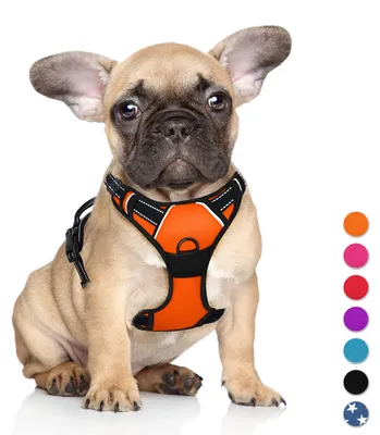 Immagine prodotto di BARKBAY Pettorina per cani No Pull taglia grande, riflettente con chiusura frontale, arancione, S