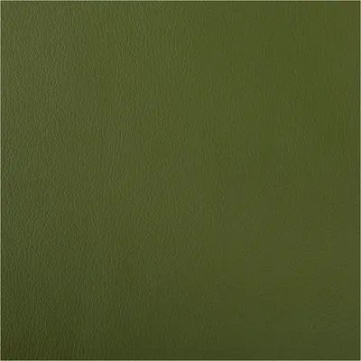 Produktbild von Polsterkunstleder Polsterstoff Kunstleder Kaiman Meterware grün 145cm