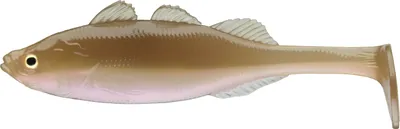 Produktbild von DAIWA Prorex Live Perch, Gummifisch, 9,5cm, wakasagi, 15510-109