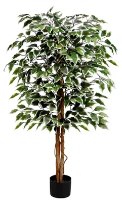 Produktbild von Künstliche Pflanze Ficus Benjamini mit Echtholzstamm für die Innendekoration