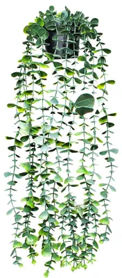 Productafbeelding van Kunstplant eucalyptus, hangplant (56 cm), kunststof hangplant in pot, kunstmatige eucalyptusdecoratie voor binnen en buiten, voor thuis, kantoor, terras of wand