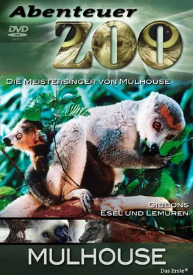Produktbild von Abenteuer Zoo