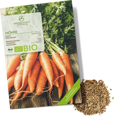 Produktbild von Karotten Samen (Early Nantes, 500 Korn) - Möhren Saatgut aus biologischem Anbau ideal für die Anzucht im Garten, Balkon oder Terrasse