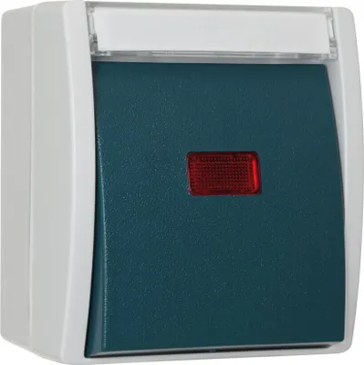A close-up, studio shot of a wall-mounted emergency switch.