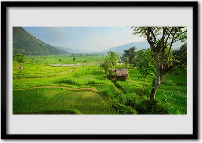 Produktbild von Bild 100x70 MDF-Rahmen Wandkunst Wiese Natur