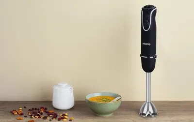 Zdjęcie produktu dla H.Koenig MIX75, Blender immersyjny, 500 l, Funkcja pulse, 750 W, Czarny, Stal nierdzewna
