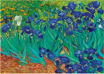 Produktbild von Bluebird Puzzle Vincent Van Gogh - Irises, 1889 - 1000 Teile