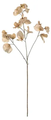 Imagen del producto de Eglo Etaya 428372