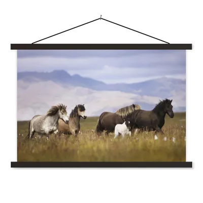 Produktbild von MuchoWow® Textilposter Pferde - Gras - Berge 90x60 cm mit schwarzem Rahmen - Aufhängungssatz