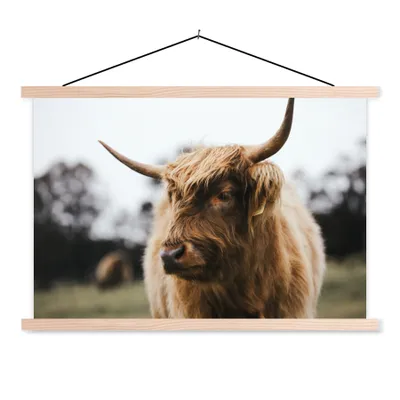 Produktbild von MuchoWow® Textilposter Schottischer Highlander - Tiere - Hörner 120x80 cm mit holzfarbenen Rahmen - Aufhängeset