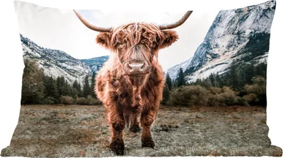 Produktbild von MuchoWow® Zierkissen Sofakissen Wohnzimmer Dekokissen 60x40 cm Schottisches Hochlandrind - Berg - Tiere - Kopfkissen - Polster mit Foto