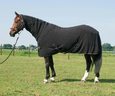 Produktbild von Fleecedecke Deluxe mit Halsteil schwarz Pferde Fleecedecke mit Halsteil in 155