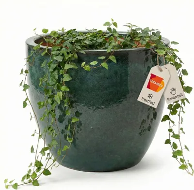 Produktbild von Pflanzkübel Moos-Grün glasiert Steinzeug frostfest Blumentopf rund Handarbeit