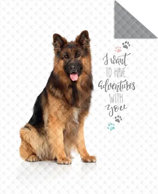 Produktbild von Kinder Tagesdecke aus 100% Polyester - Hund - 170 x 210 cm