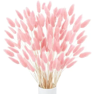 Immagine prodotto di 120 pezzi di pampas rosa essiccato, decorazione, altezza 30-43 cm