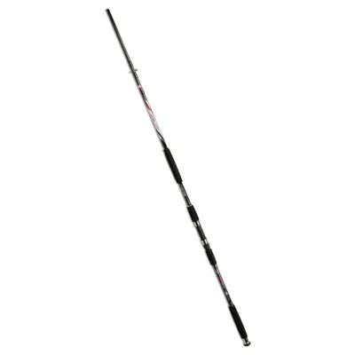 Zdjęcie produktu dla Lineaeffe Carbon Catfish 350 g, 3,00 m