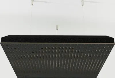 Immagine prodotto di pannelli acustici a soffitto "WILDS-C" in 2 pezzi con set di montaggio | Assorbimento - Diffusione - Riflessione - Isolamento acustico - Isolamento | Pannello acustico a nuvola | 50x50x5cm | Colore: nero