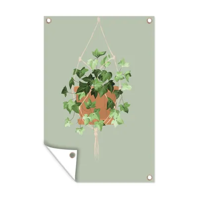 Obrázek produktu pro MuchoWow® Zahradní plakáty - Rostlina - závěsná rostlina - břečťan - 90x60 cm - Zahradní dekorace